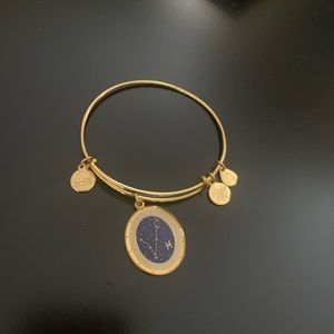 Alex and Ani Gold Pisces Charm Bracelet